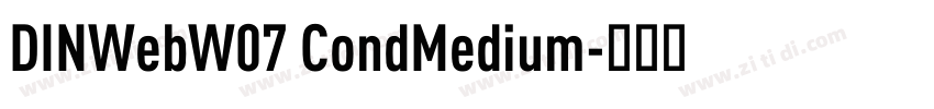 DINWebW07 CondMedium字体转换